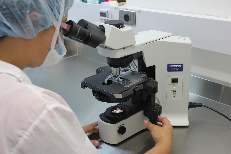 Biopsy Biopsy
